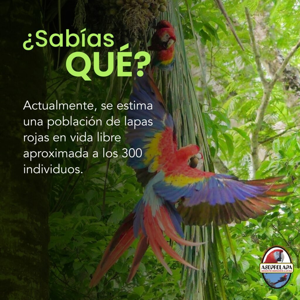 470061200_122154941906289752_3920486958001935068_n