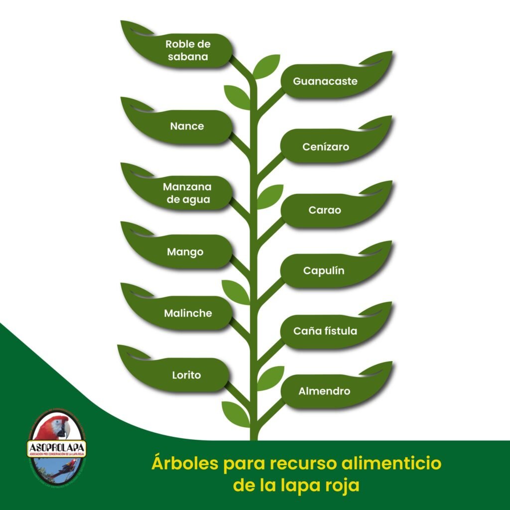 470136753_122154961352289752_4534321795920617470_n