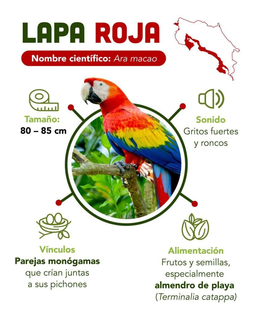 541489476_122193307052289752_1264528408868674391_n